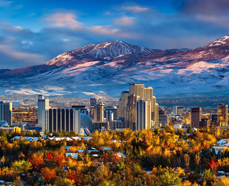 Vector Smart Object-3